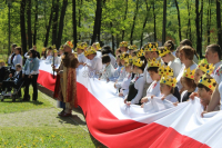 Powiększ