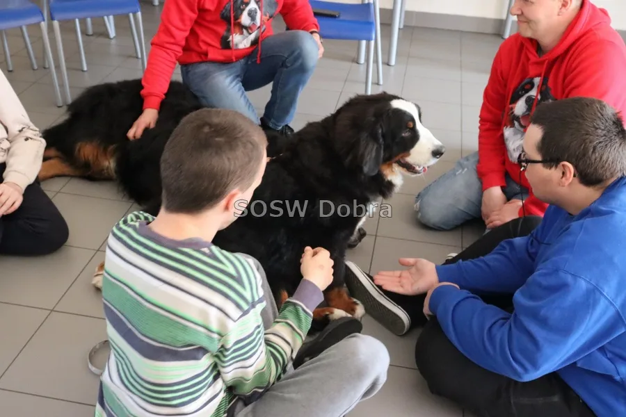 Galeria „Dogoterapia” — zdjęcie 1.