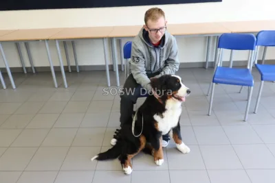 Galeria „Dogoterapia” — zdjęcie 42.