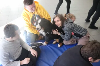 Galeria „Dogoterapia” — zdjęcie 15.