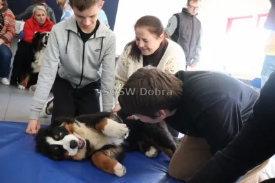 Galeria „Dogoterapia” — zdjęcie 60.