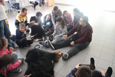 Galeria „Dogoterapia” — zdjęcie 97.