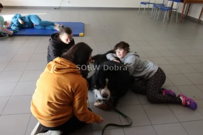 Galeria „Dogoterapia” — zdjęcie 36.