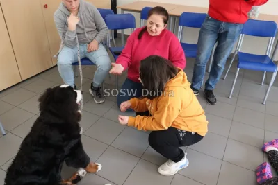 Galeria „Dogoterapia” — zdjęcie 44.