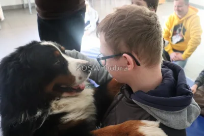Galeria „Dogoterapia” — zdjęcie 73.