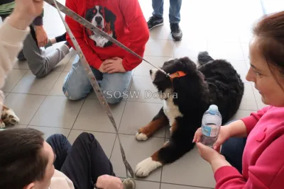 Galeria „Dogoterapia” — zdjęcie 8.