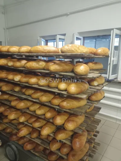 Galeria „Wyjście do Piekarni GS Dobra” — zdjęcie 32.