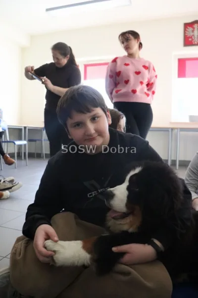 Galeria „Dogoterapia” — zdjęcie 69.