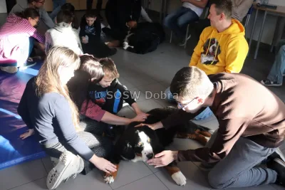 Galeria „Dogoterapia” — zdjęcie 123.