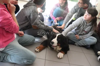 Galeria „Dogoterapia” — zdjęcie 81.