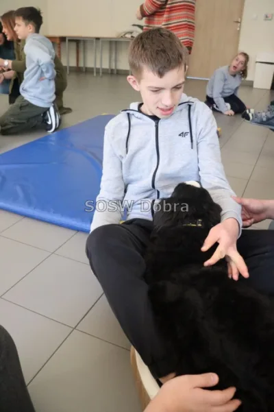 Galeria „Dogoterapia” — zdjęcie 43.
