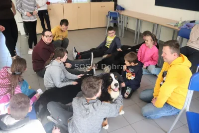 Galeria „Dogoterapia” — zdjęcie 91.