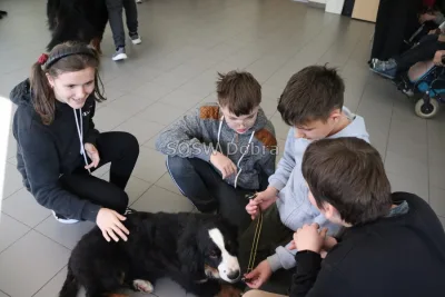 Galeria „Dogoterapia” — zdjęcie 36.