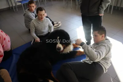Galeria „Dogoterapia” — zdjęcie 57.