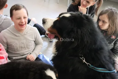 Galeria „Dogoterapia” — zdjęcie 48.
