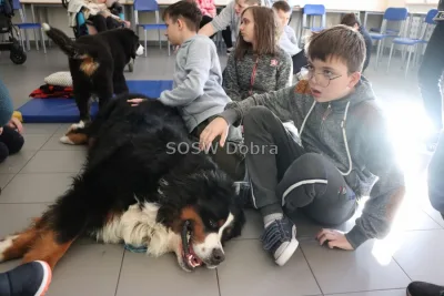 Galeria „Dogoterapia” — zdjęcie 42.