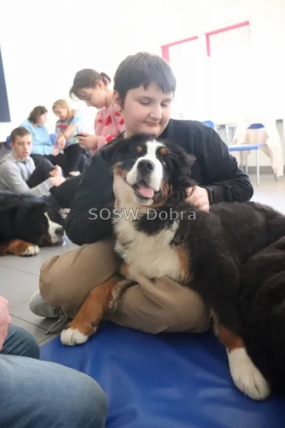 Galeria „Dogoterapia” — zdjęcie 71.