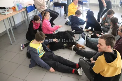 Galeria „Dogoterapia” — zdjęcie 89.