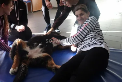 Galeria „Dogoterapia” — zdjęcie 29.