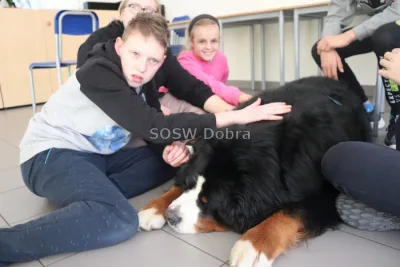 Galeria „Dogoterapia” — zdjęcie 28.