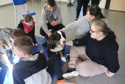 Galeria „Dogoterapia” — zdjęcie 20.