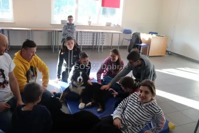 Galeria „Dogoterapia” — zdjęcie 3.