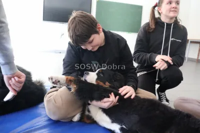 Galeria „Dogoterapia” — zdjęcie 59.