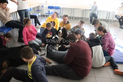 Galeria „Dogoterapia” — zdjęcie 101.