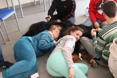 Galeria „Dogoterapia” — zdjęcie 20.