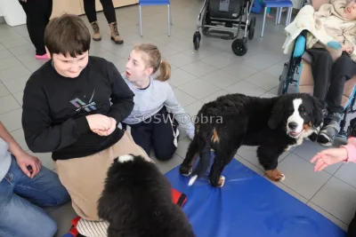 Galeria „Dogoterapia” — zdjęcie 47.