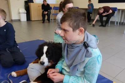 Galeria „Dogoterapia” — zdjęcie 29.