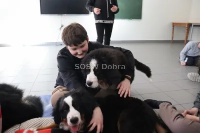 Galeria „Dogoterapia” — zdjęcie 54.