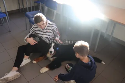 Galeria „Dogoterapia” — zdjęcie 19.