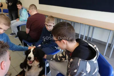 Galeria „Dogoterapia” — zdjęcie 19.