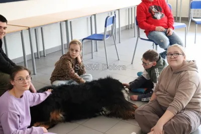 Galeria „Dogoterapia” — zdjęcie 35.