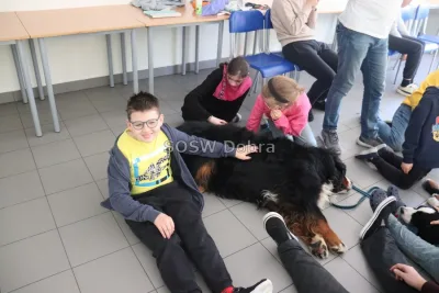 Galeria „Dogoterapia” — zdjęcie 95.