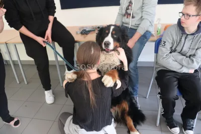 Galeria „Dogoterapia” — zdjęcie 129.