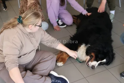 Galeria „Dogoterapia” — zdjęcie 47.