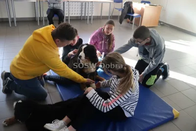 Galeria „Dogoterapia” — zdjęcie 22.