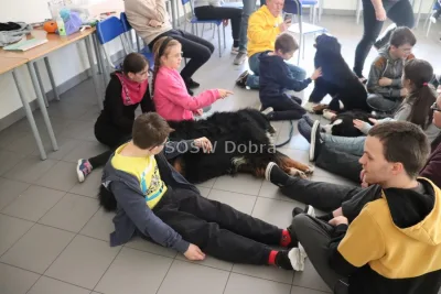 Galeria „Dogoterapia” — zdjęcie 90.