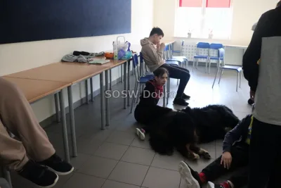 Galeria „Dogoterapia” — zdjęcie 110.