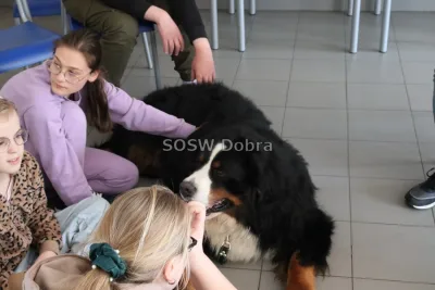 Galeria „Dogoterapia” — zdjęcie 25.