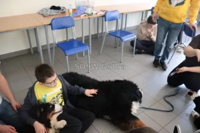 Galeria „Dogoterapia” — zdjęcie 79.