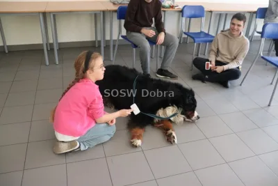 Galeria „Dogoterapia” — zdjęcie 14.