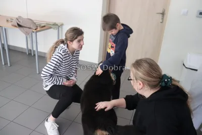 Galeria „Dogoterapia” — zdjęcie 18.
