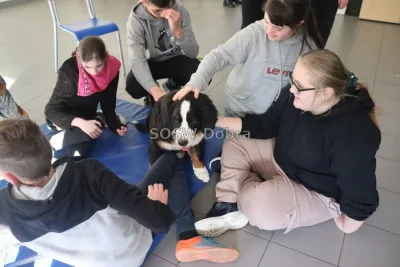 Galeria „Dogoterapia” — zdjęcie 77.