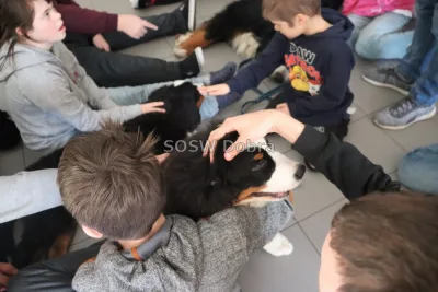 Galeria „Dogoterapia” — zdjęcie 94.