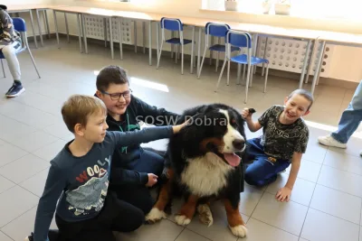 Galeria „Dogoterapia” — zdjęcie 34.
