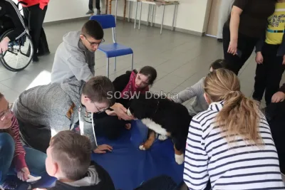 Galeria „Dogoterapia” — zdjęcie 78.