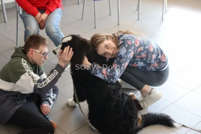 Galeria „Dogoterapia” — zdjęcie 26.